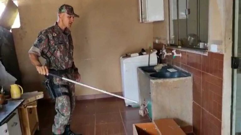 Veja o vídeo em que jiboia foi resgata pela PMA em telhado de casa em MS
