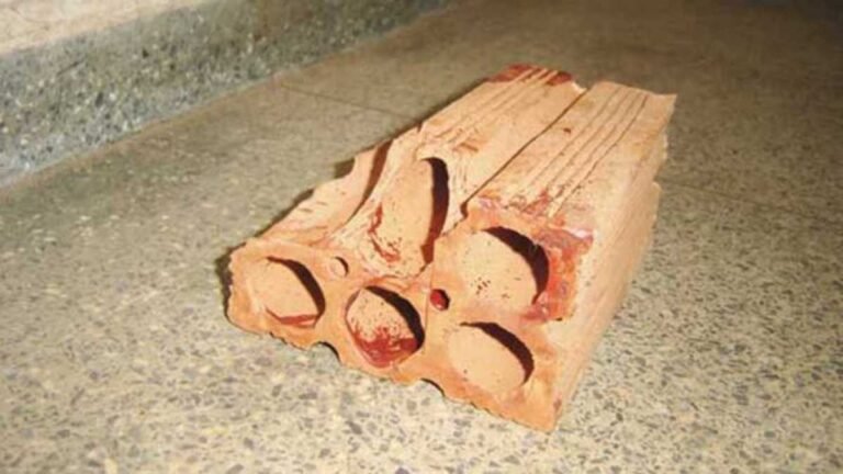 Mãe nega dinheiro ao filho e acaba sendo agredida a tijoladas em MS