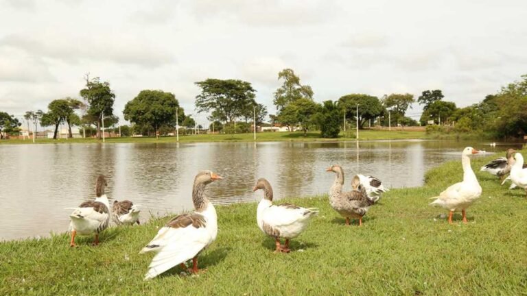 Previsão do tempo para esta quinta-feira 08/01 em Dourados e região