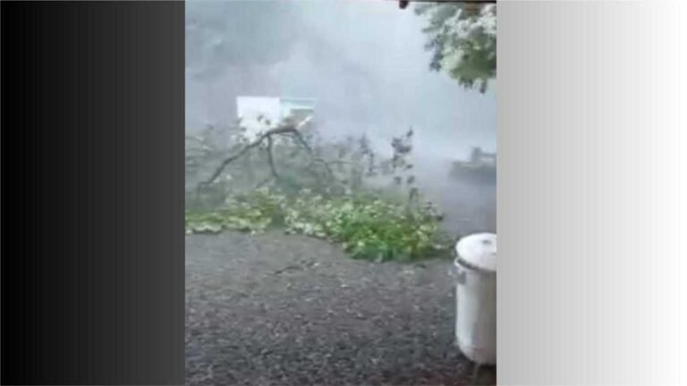VEJA VÍDEO – Chuva acompanhado de vetos fortes causou estragos em Bonito