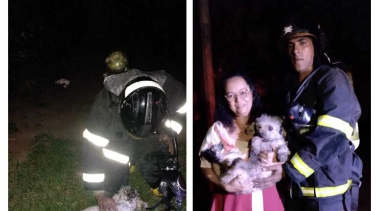 Corpo de Bombeiro resgata animais em residência  pegando fogo em MS