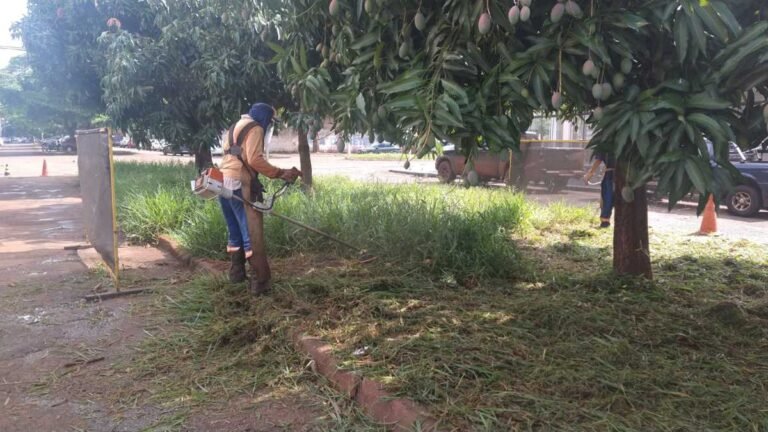 Nova licitação da limpeza pública será lançada em breve