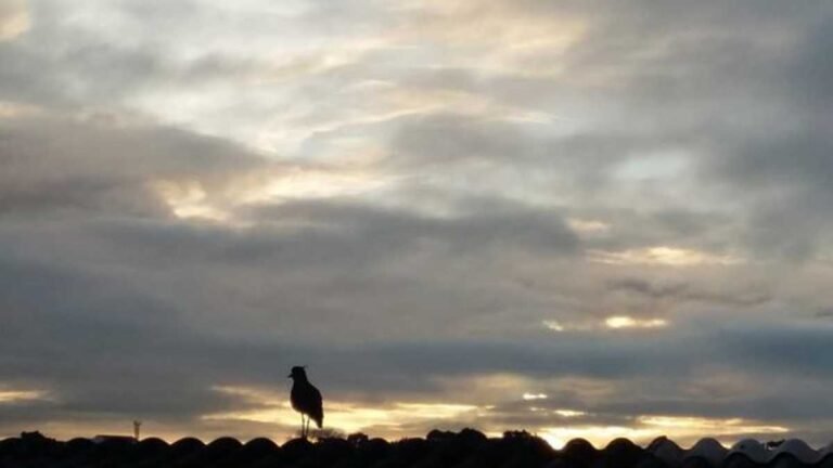 Previsão do tempo para esta quarta-feira 24/11 – DOURADOS