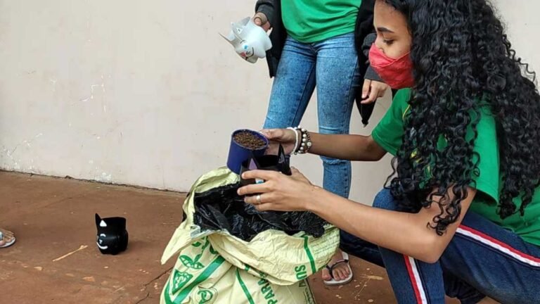 Hábitos sustentáveis são trabalhados em projeto com estudantes