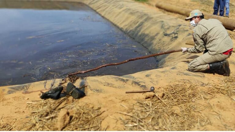 Homem morre afogado em tanque após tentar ajudar animal que estava se afogando