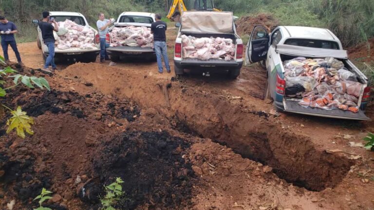 Ação conjunta combate comércio de produtos e abate clandestino de animais