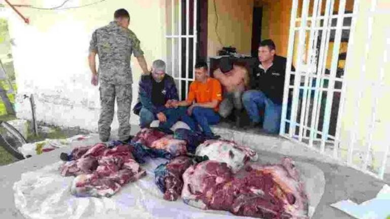 Carnes roubadas são recuperadas pouco antes de ser vendidas