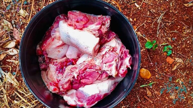 Chácaras Califórnia – Após furto de leitoa PM prende receptador  em Dourados