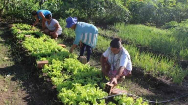 Agricultura Familiar apresentou ao CMDR o Programa Nacional de Crédito