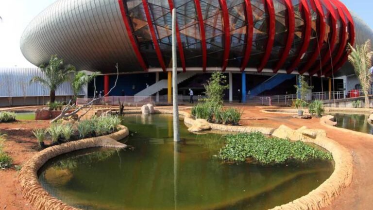 Governo quer a retomada da venda da UFN3 e uma definição para o Aquário do Pantana