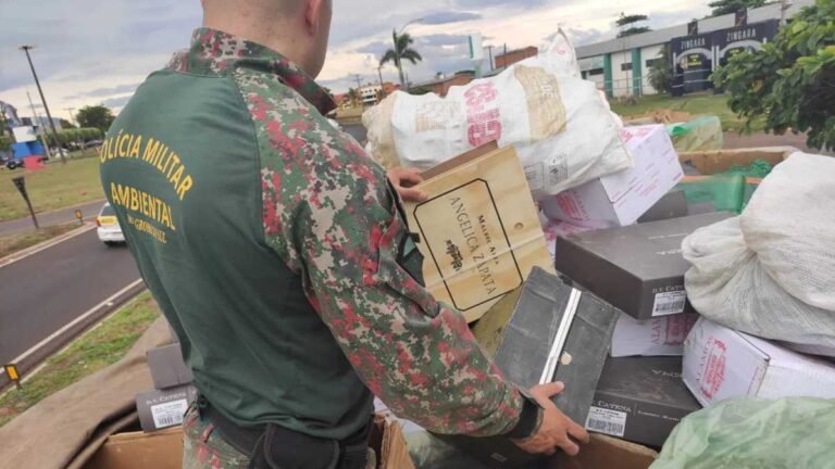 PMA apreende carreta com vinhos contrabandeado e carga é avaliada em R$ 120.000,00