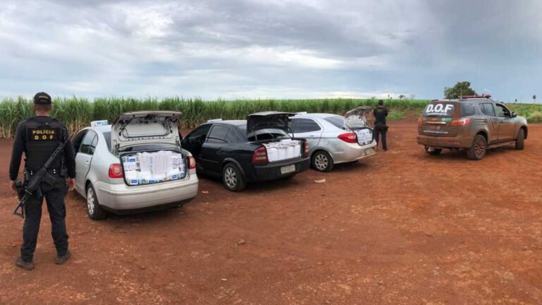 Mais de 4,7 milhões em produtos contrabandeados do Paraguai foram apreendidos pelo DOF