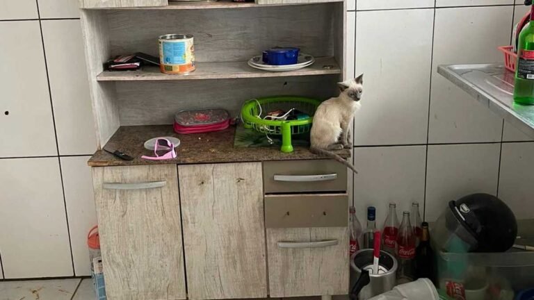 Crianças são resgatas pela policia em meio a sujeira e passar 12hs sem comer