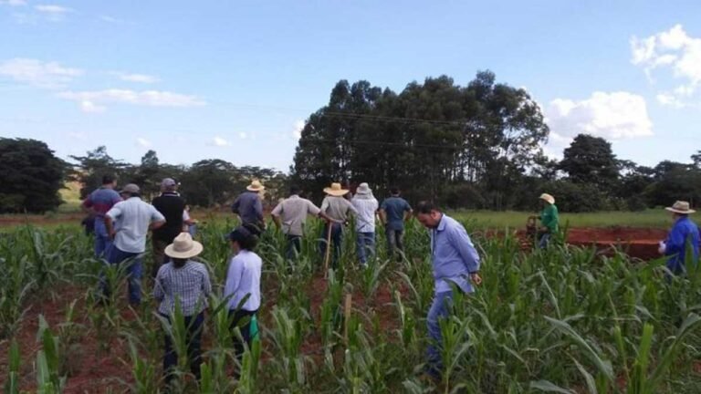 Precisa trabalhar? Estão Aberto processo seletivo para contratação de profissionais temporários
