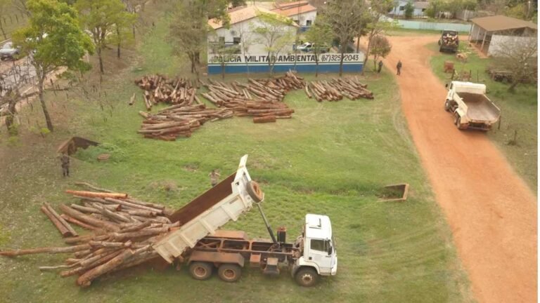 PMA autuou 1.264 pessoas e aplicou R$ R$ 38,8 milhões em multas por infrações ambientais em 2021