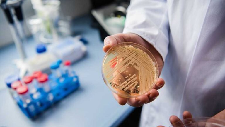 Confirmado segundo caso de Candida auris em PE