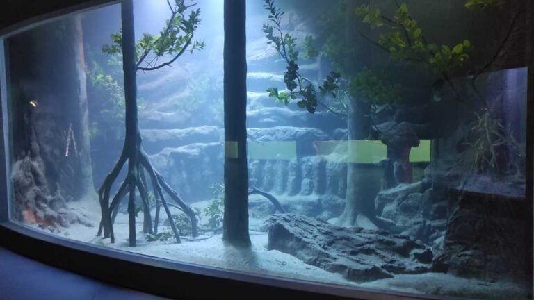 Com maior aquário de água doce do mundo, Bioparque Pantanal conclui “Obra Inacabada Zero”