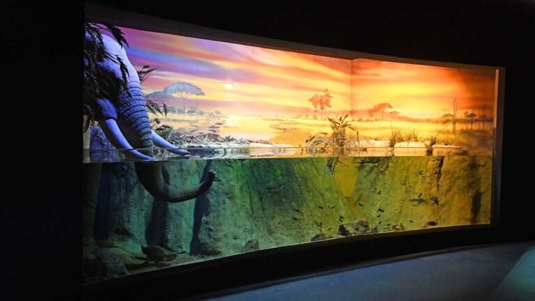 Veja um vídeo e algumas imagens do maior circuito de aquários de água doce do mundo [assista e veja]