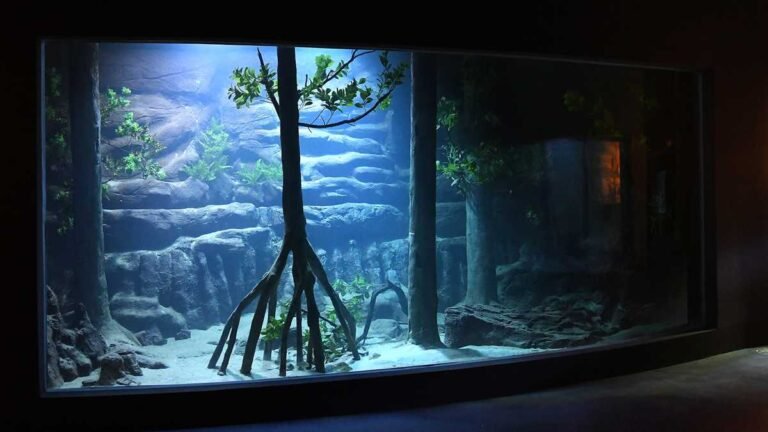 Nesta terça-feira, público geral terá a chance de conhecer o Bioparque Pantanal