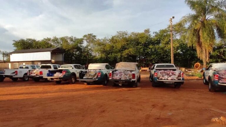 Fiscais do Iagro apreende 5 toneladas de carnes impropria para o consumo em MS