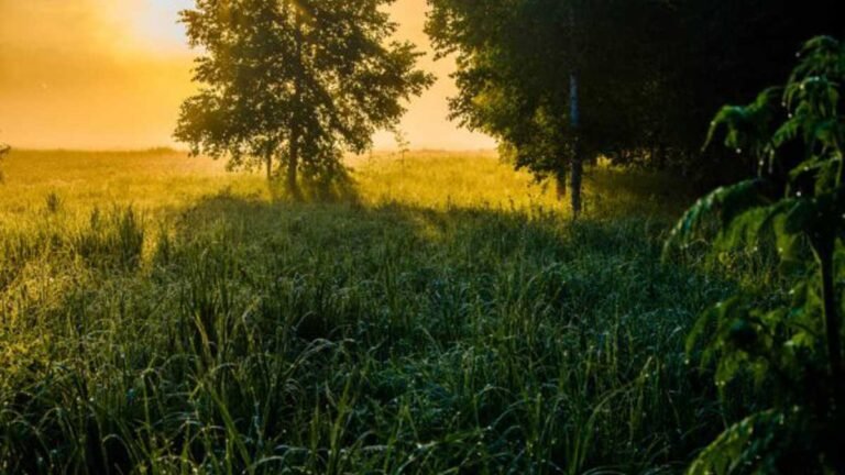 Previsão do tempo para este sábado 28/05 a quarta-feira 01/06 em Dourados