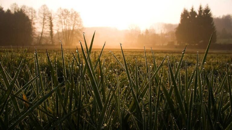 Previsão do tempo para esta quarta-feira 27/04 a domingo 01/05 em Dourados