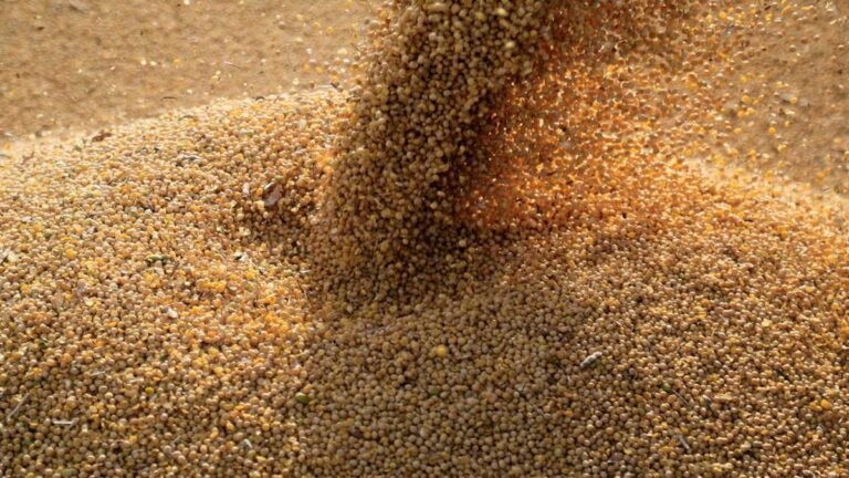 Guerra na Ucrânia afeta preços de commodities agrícolas, segundo Ipea