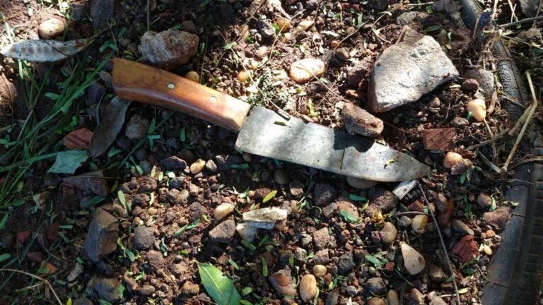 Vila Mariana  – Preso acusado de matar homem a facadas e pedradas em Dourados