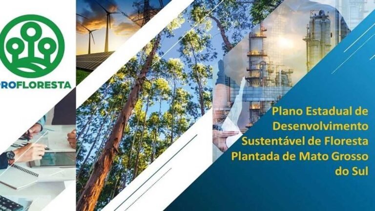 PROFLORESTA quer potencializar cadeia produtiva que gera 27,2 mil empregos em MS