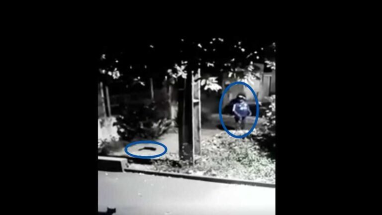 VÌDEO – Motoqueiro taca pedra em gatinho, o bichinho se rasteja pra escapar [assista]