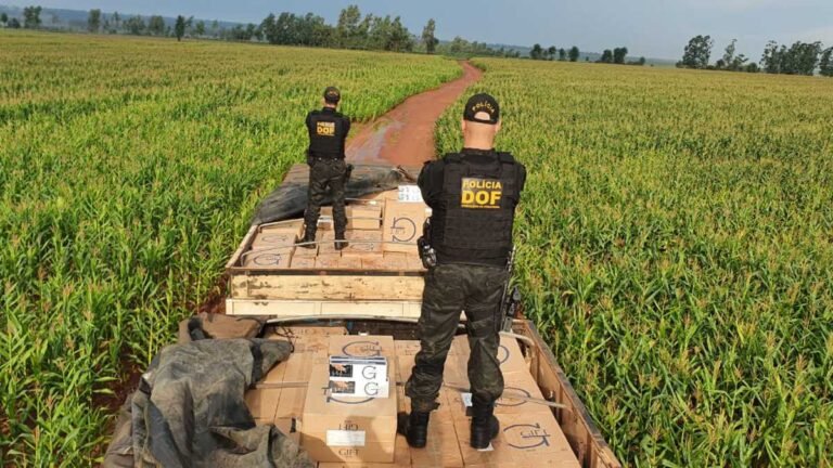 DOF apreende 50 mil pacotes de cigarros contrabandeados avaliado em aproximadamente R$ 3 milhões