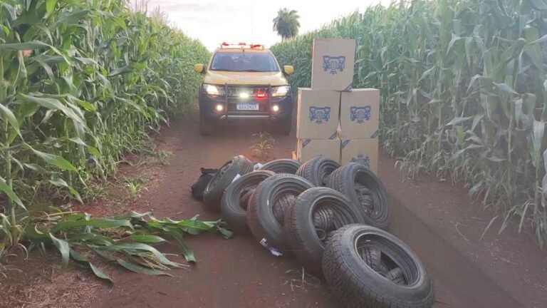 Polícia Militar apreende carga de contrabando avaliada em R$ 21.750,00