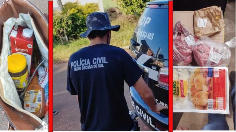 Policiais civis prendem mulher suspeita de furtar alimentos de supermercado