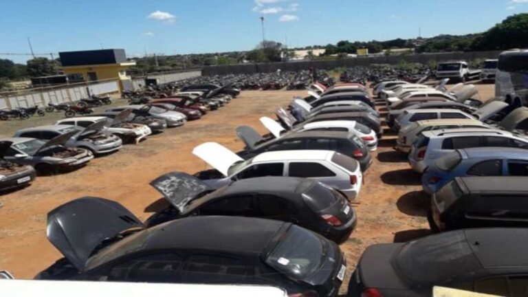 Detran-MS encerra ano com 85 leilões realizados