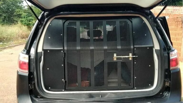 Homem que tentou injetar veneno na ex-companheira é preso pela Polícia Civil