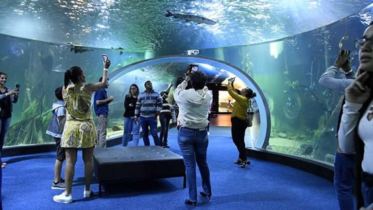 Entre estudantes e público geral, Bioparque já recebeu mais de mil visitantes em dois dias de abertura