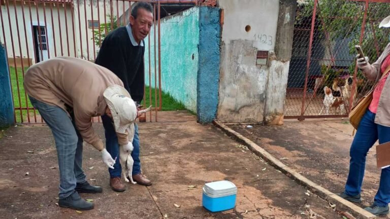 CCZ segue com campanha de vacinação antirrábica de forma itinerante