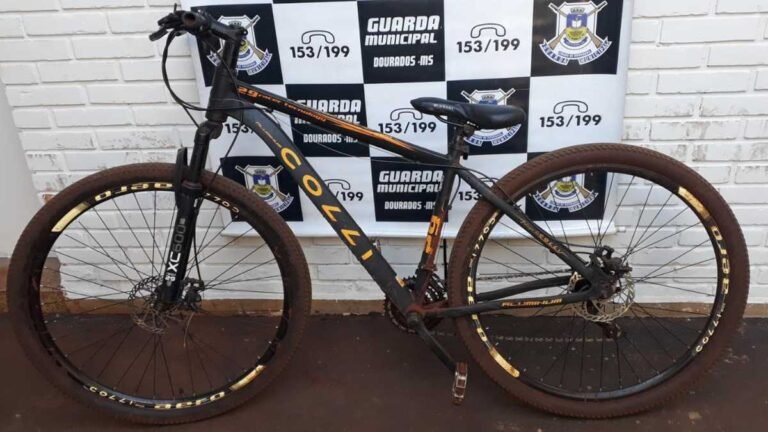 Em 2022 Guarda Municipal recupera 24 bicicletas furtadas