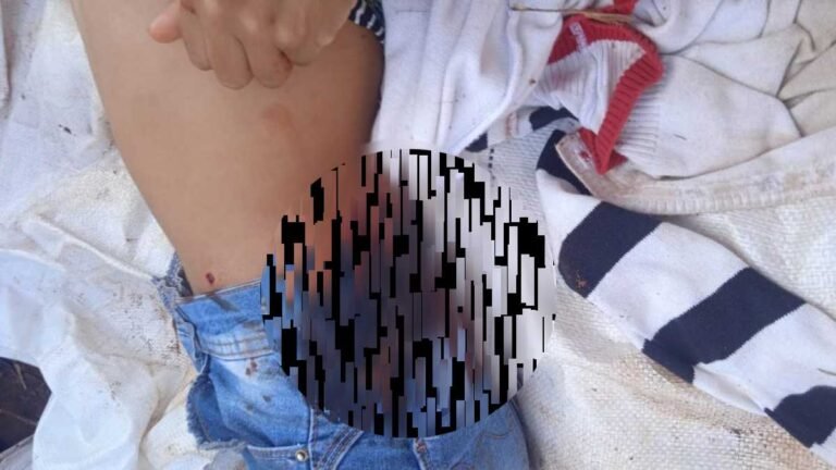 Secretário diz que policiais foram recebidos a tiros, Cemi diz que indígenas foram atacados por policiais e fazendeiros