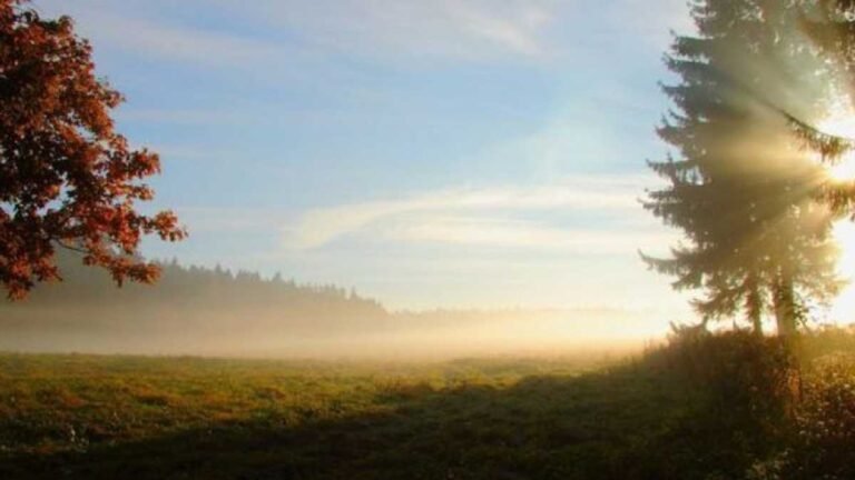 Previsão do tempo para esta segunda-feira 13/06 a sexta-feira 17/06 em Dourados