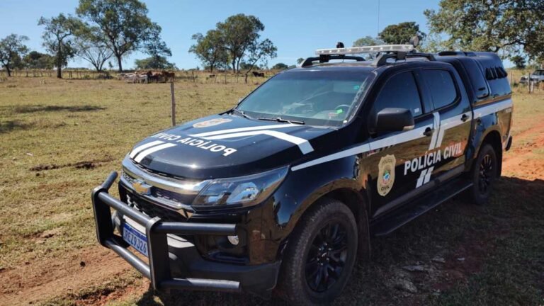 Polícia Civil recupera 13 cabeças de gado desviadas por empregado de fazenda