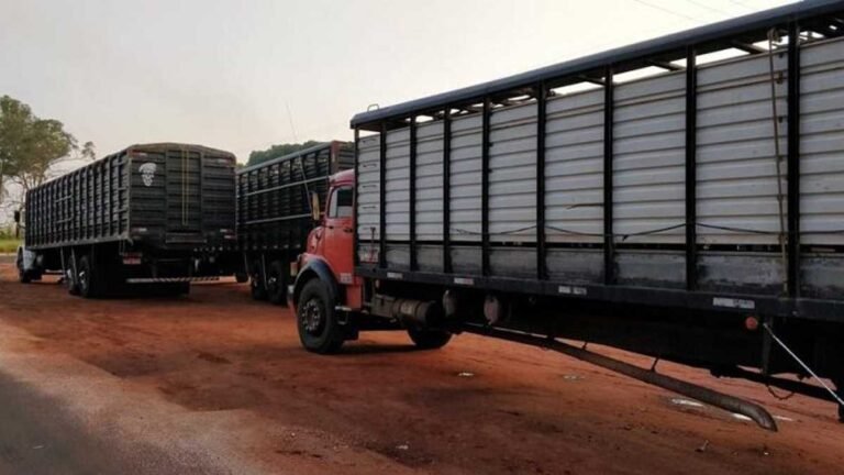 Está suspensa a obrigatoriedade do uso do aplicativo de transporte de animais