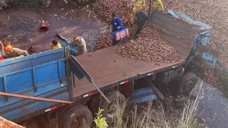 Motorista de caminhão que caiu em córrego morre no HR