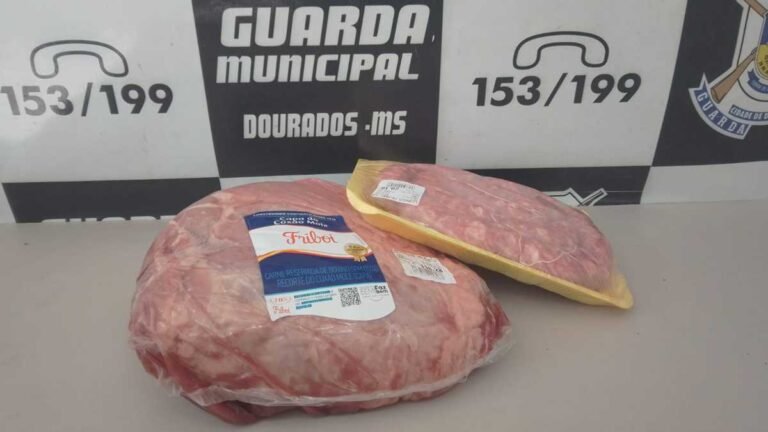 Jardim Clímax – GMD prende homem por furtar coxão mole e linguiça para trocar por drogas