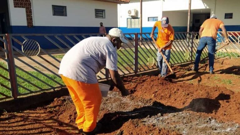 Hortas sociais cultivadas por detentos transformam realidade de escolas e instituições sociais
