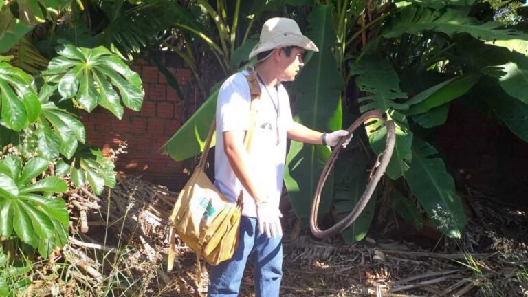 CCZ mantém estado de alerta contra a dengue, zika e chikungunya