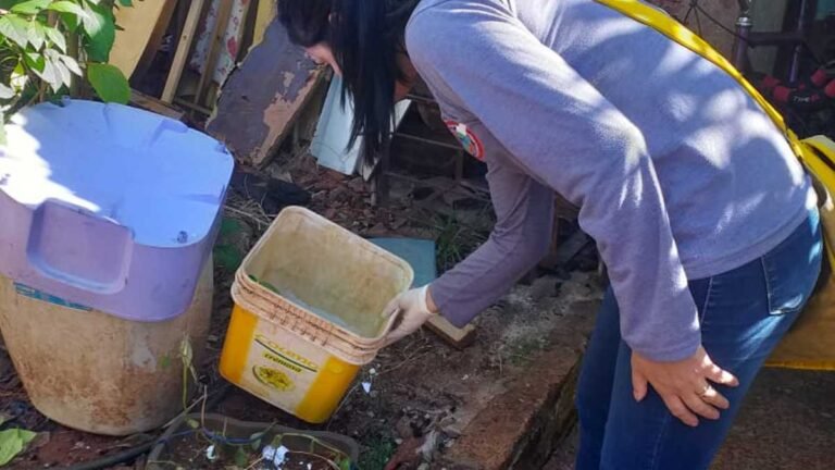 Boletim Epidemiológico – MS registra 15.927 casos confirmados de dengue