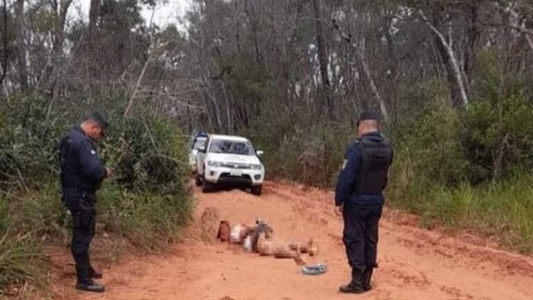Identificado jovem encontrado morto com sinais de torturas sem orelhas e com cortes nos genitais