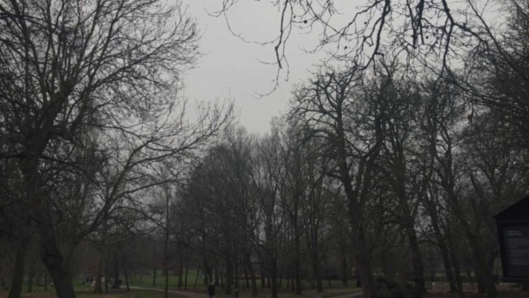 Previsão do tempo para este sábado 03/09 a quarta-feira 07/09 em Dourados