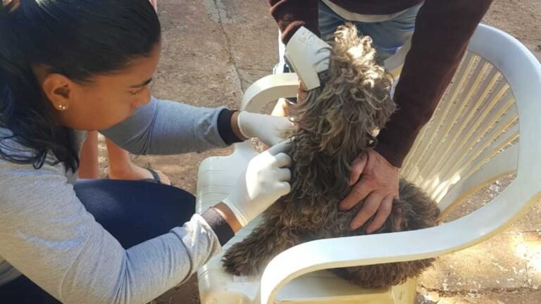 Vacinação itinerante do CCZ visita três bairros nesta semana